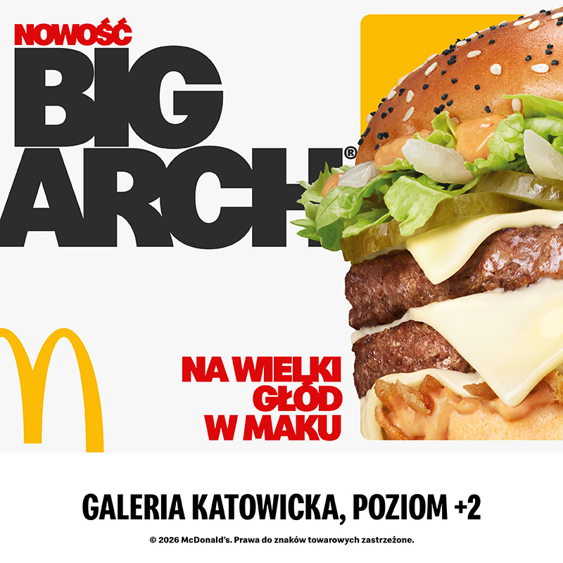 PL10-P00001108 BigArch_12_800x800px-Katowice 8